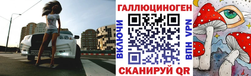 Псилоцибиновые грибы Psilocybe закладка Сургут