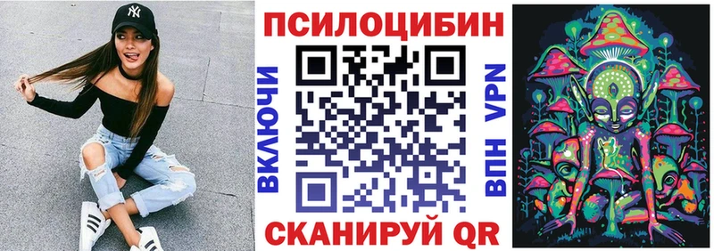 Галлюциногенные грибы Cubensis Сургут