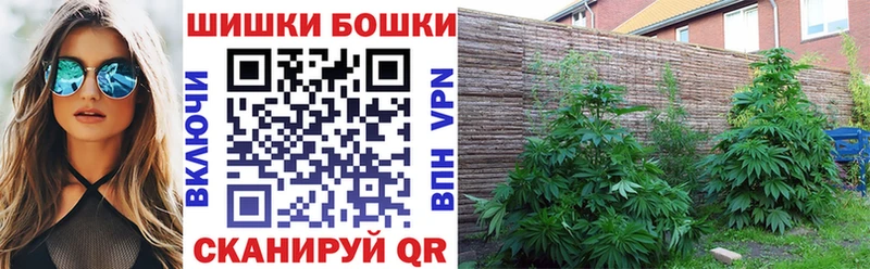 Канабис конопля Сургут